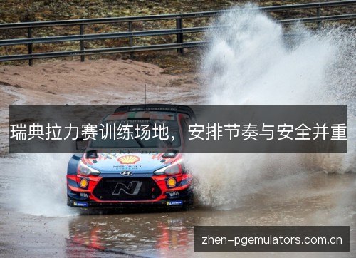 瑞典拉力赛训练场地,安排节奏与安全并重 瑞典拉力赛训练场地,安排节奏与安全并重
